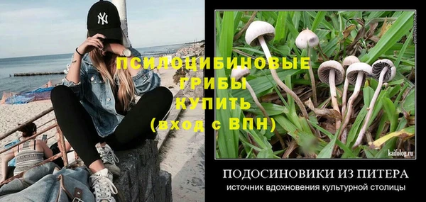 амф Горнозаводск