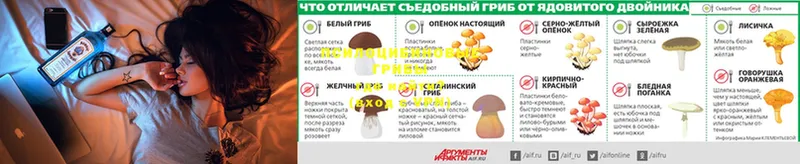 блэк спрут сайт  где продают наркотики  Ершов  Галлюциногенные грибы Magic Shrooms 