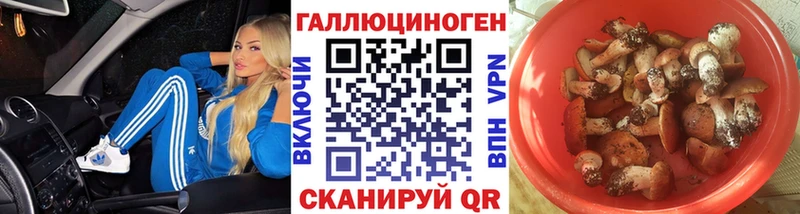 Галлюциногенные грибы мицелий Ершов